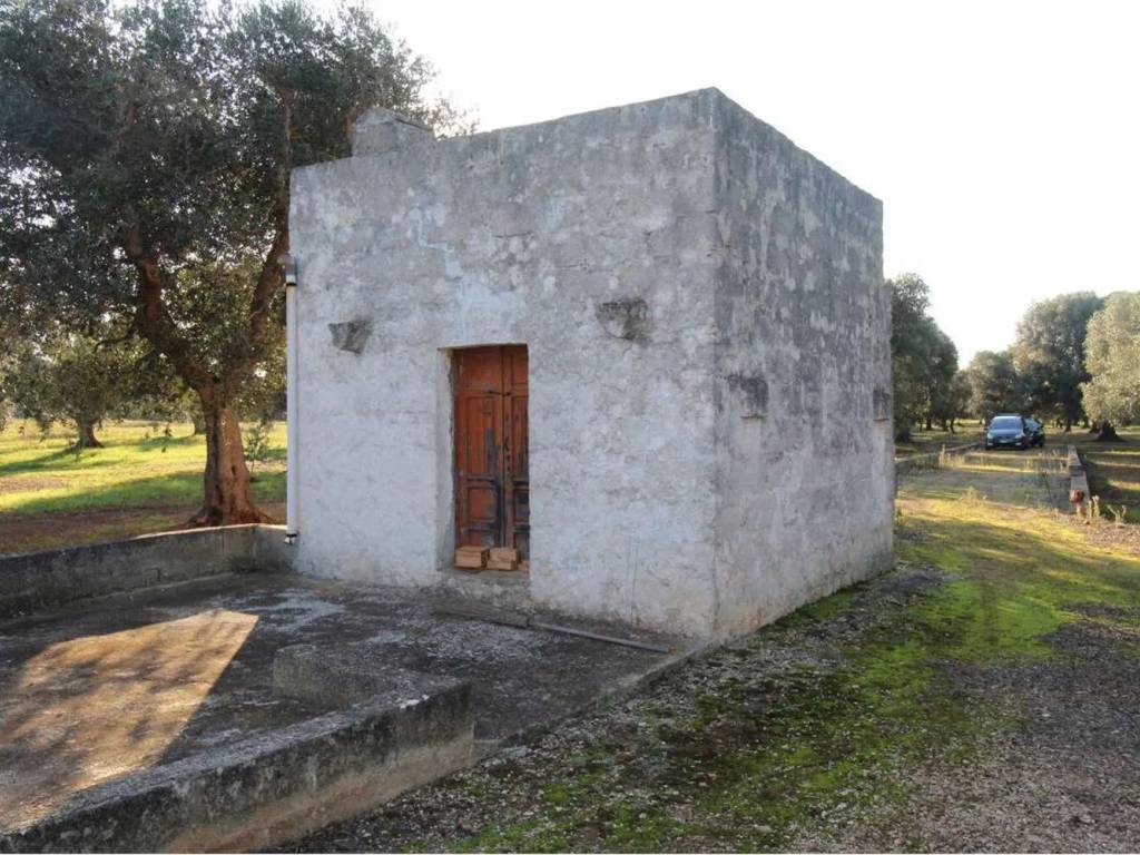Rustico / casale a Carovigno - Foto 4