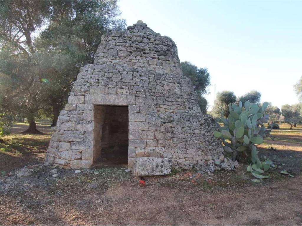 Rustico / casale a Carovigno - Foto 5