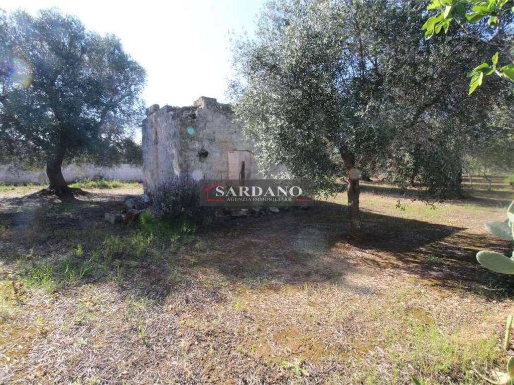 Terreno a Carovigno - Foto 4