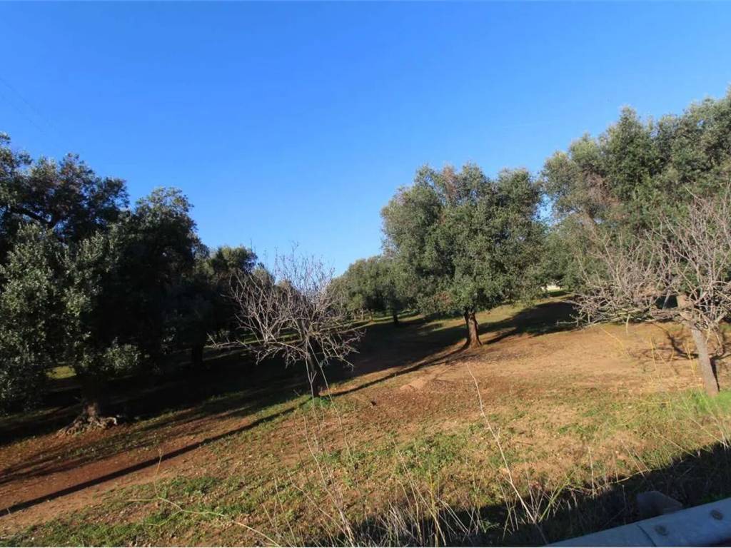 Terreno a Carovigno - Foto 2
