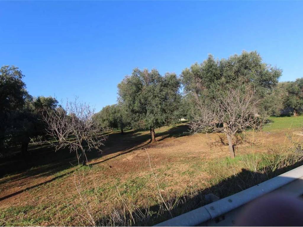 Terreno a Carovigno - Foto 3