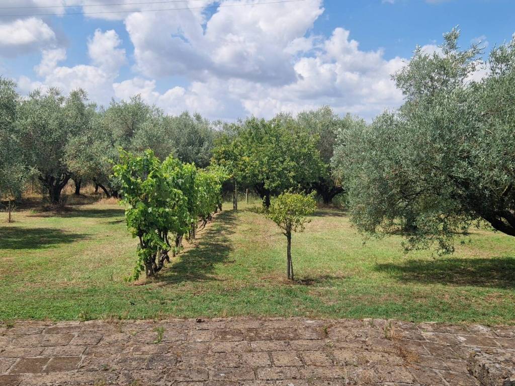 Villa a Pitigliano in Località Corano - Foto 3