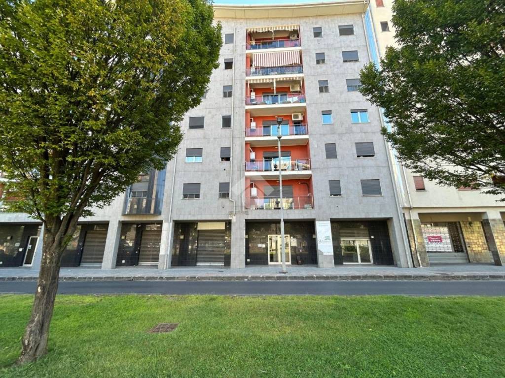 Appartamento a Cosenza in Viale Giacomo Mancini, 144 - Foto 3