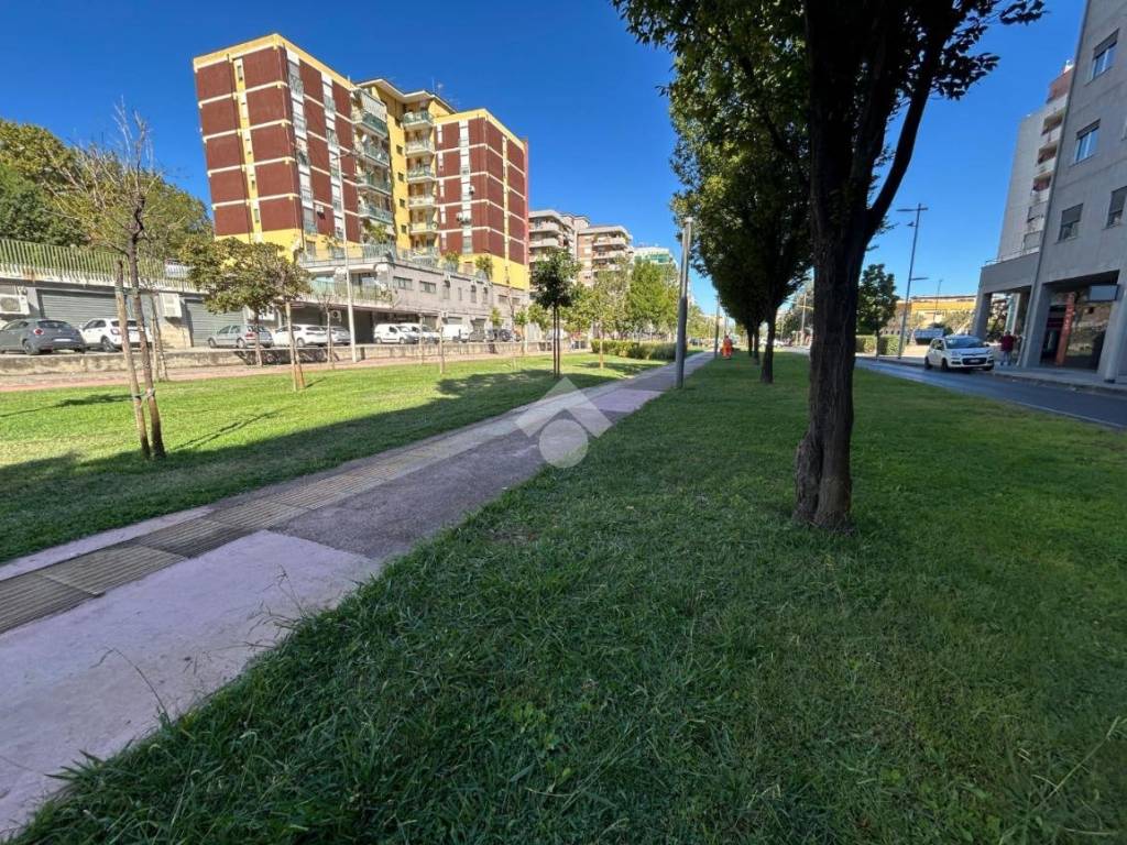 Appartamento a Cosenza in Viale Giacomo Mancini, 144 - Foto 5