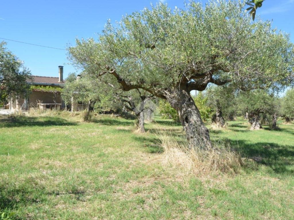 Terreno a Tivoli in Strada Pisoni - Foto 3