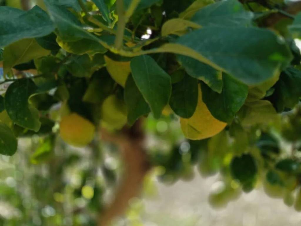 Villa a Tollo in Ariatti S.N.C. - Foto 4