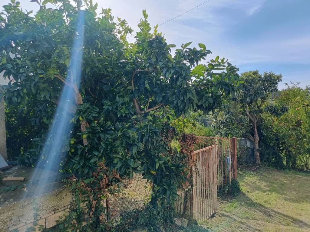 Villa a Tollo in Ariatti S.N.C. - Foto 5