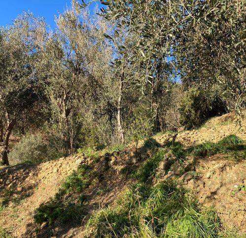 Terreno a Quiliano in Via Morosso - Foto 5