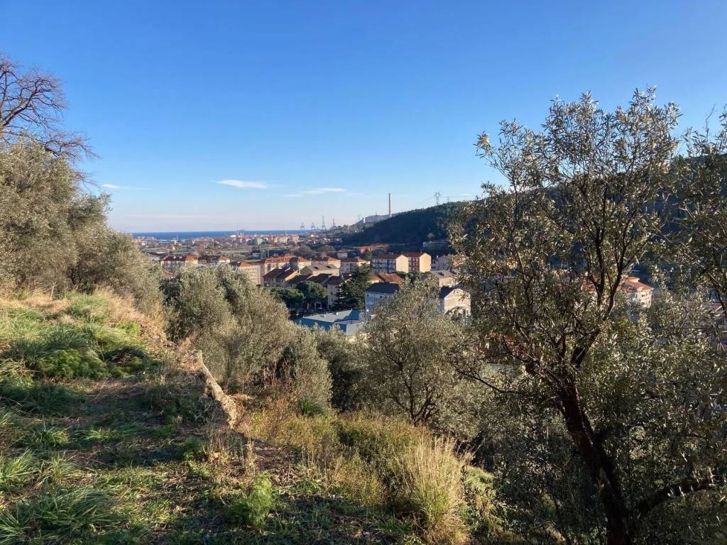 Terreno a Quiliano in Via Morosso - Foto 2