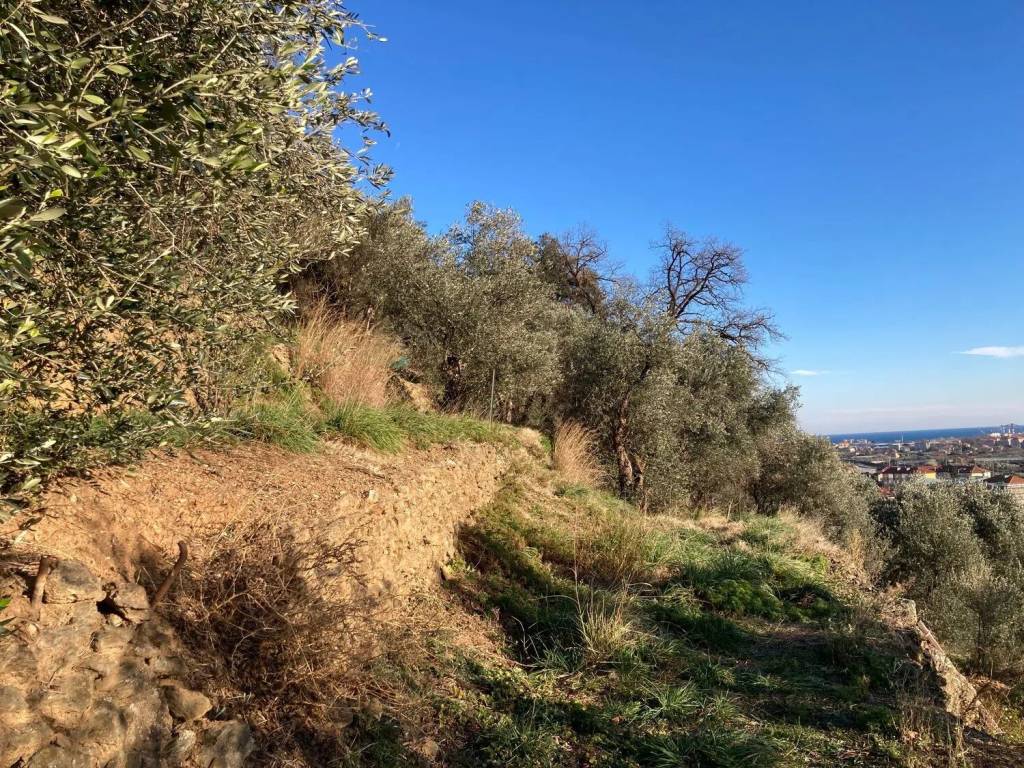 Terreno a Quiliano in Via Morosso - Foto 4