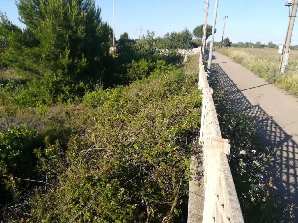 Terreno a Lecce in Via Delle Mammole S.N.C. - Foto 2