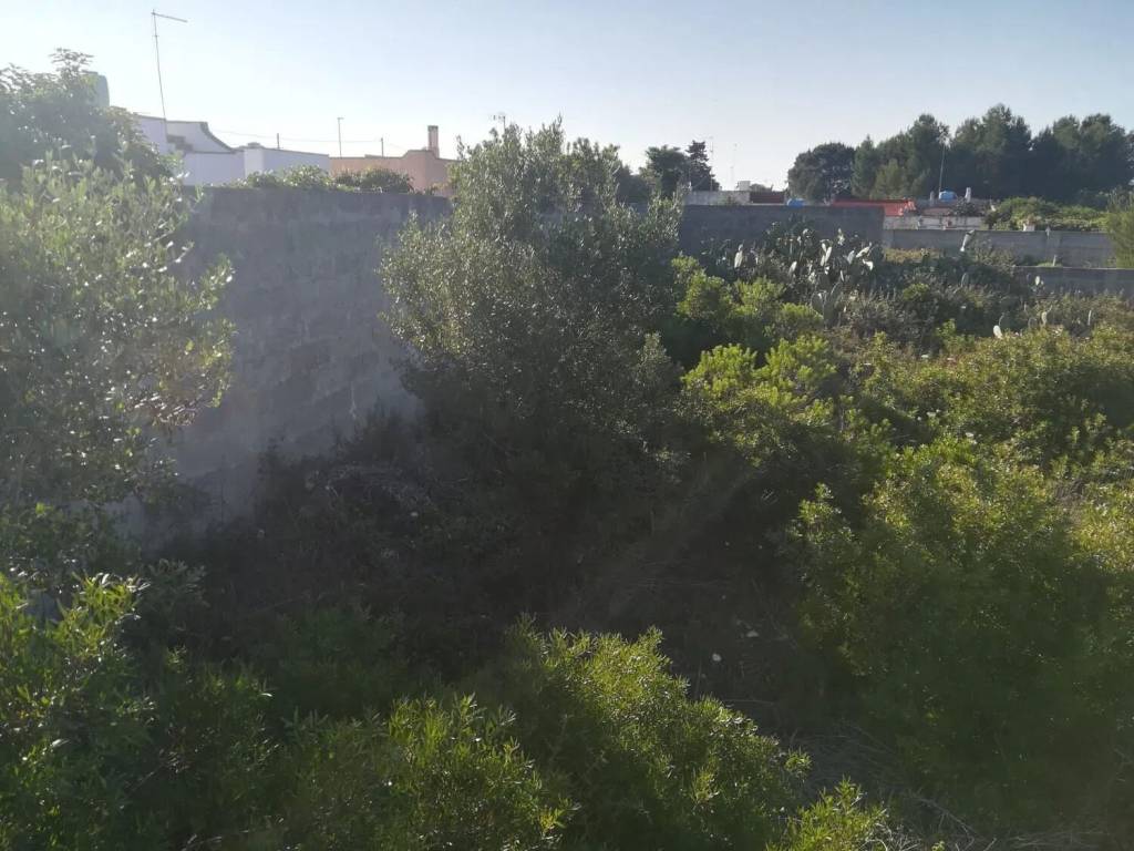 Terreno a Lecce in Via Delle Mammole S.N.C. - Foto 5