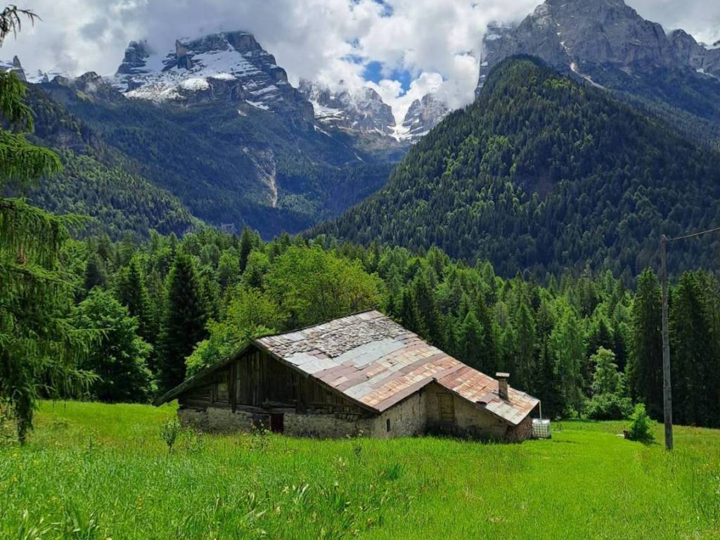 Rustico / casale a Pinzolo in località Fogajard - Foto 2