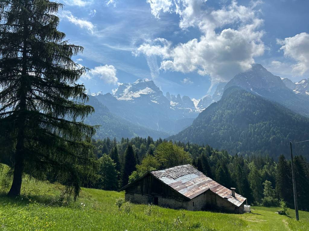 Rustico / casale a Pinzolo in località Fogajard - Foto 3