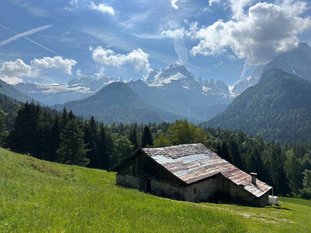 Rustico / casale a Pinzolo in località Fogajard - Foto 4