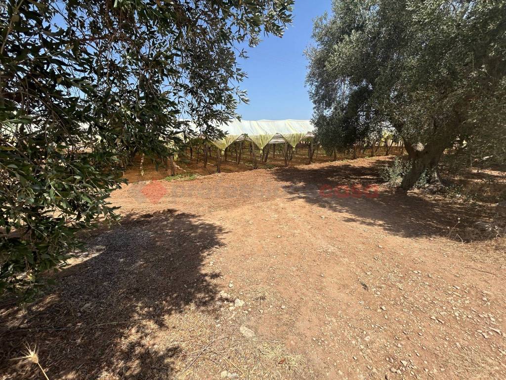 Terreno a Grottaglie in SPEXSS7 - Foto 5