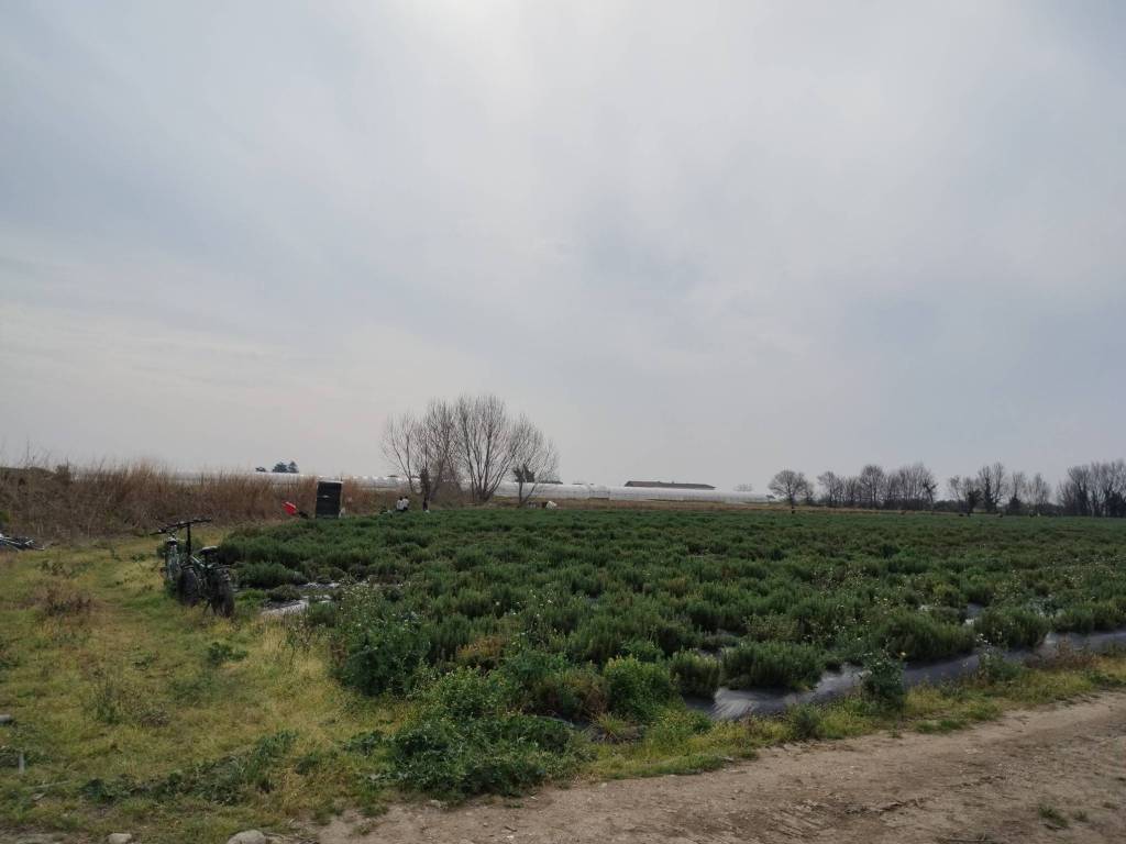 Terreno a Pontecagnano faiano in Via Mare Tirreno - Foto 5