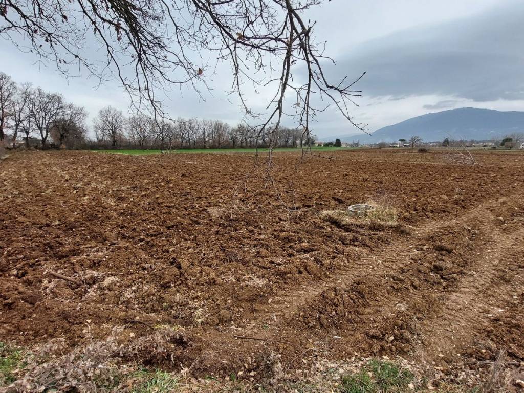 Terreno a Spoleto in Via Luigi Einaudi - Foto 2