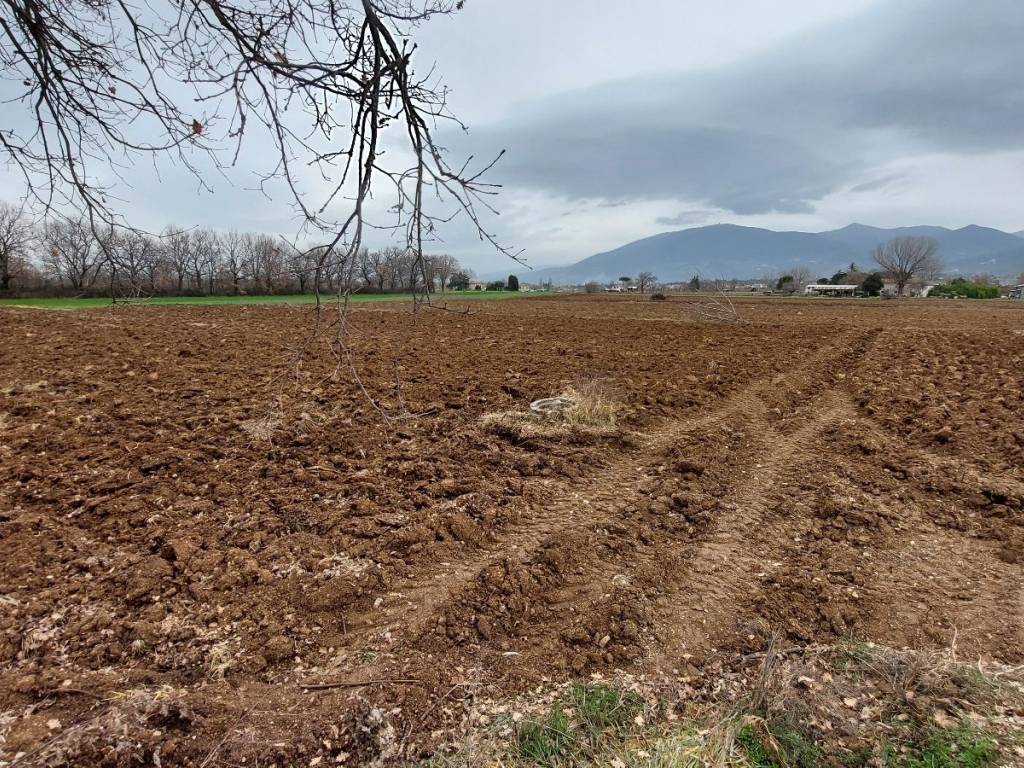 Terreno a Spoleto in Via Luigi Einaudi - Foto 3