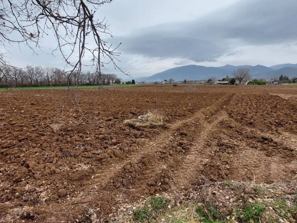 Terreno a Spoleto in Via Luigi Einaudi - Foto 4