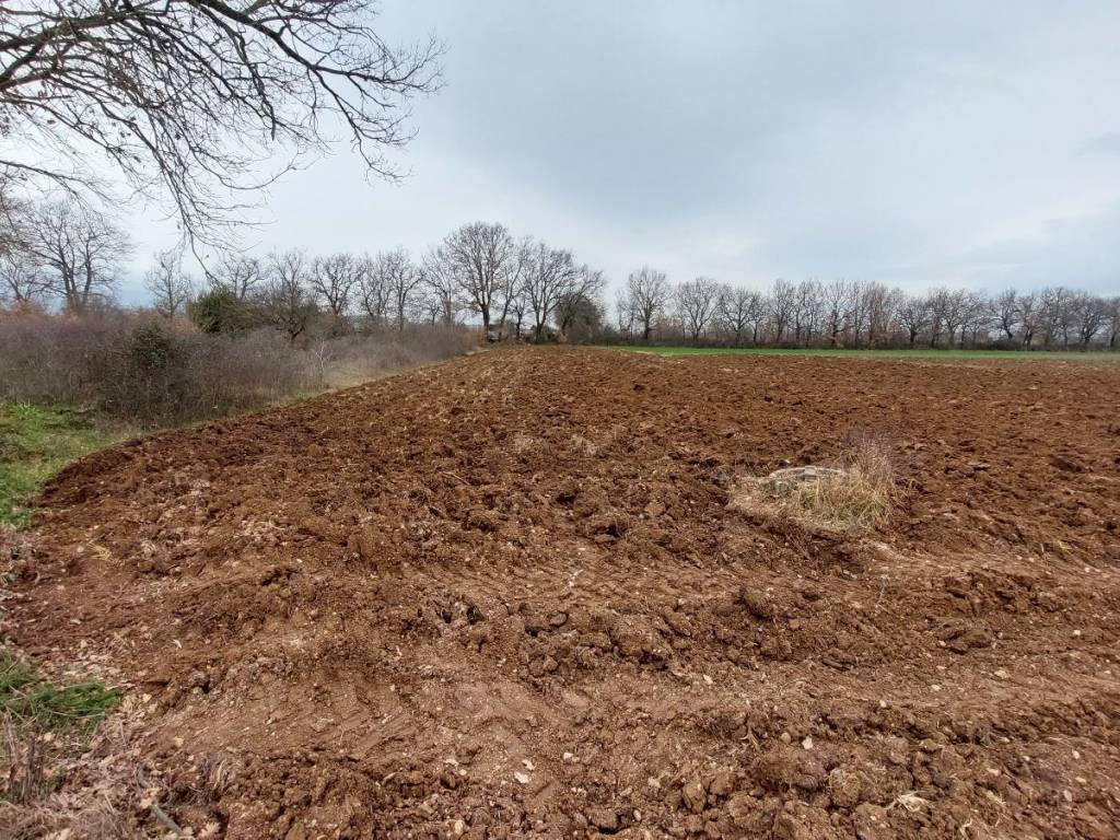 Terreno a Spoleto in Via Luigi Einaudi - Foto 5