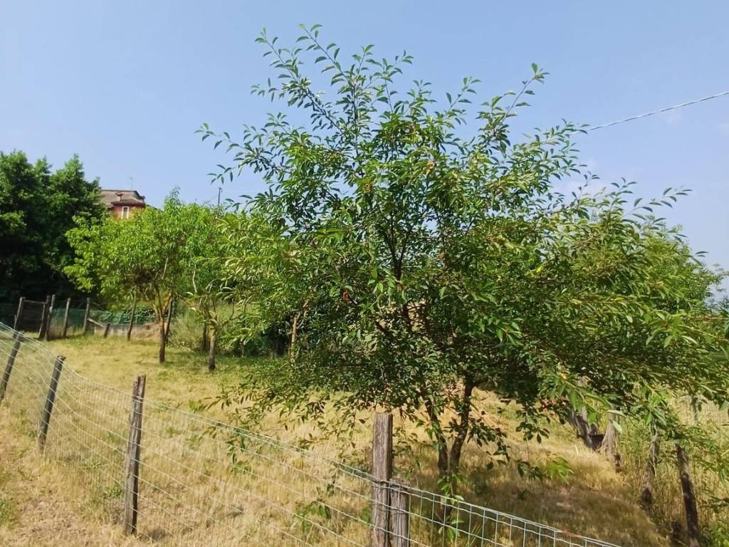 Villa a Solignano in Località Marena, 85 - Foto 5