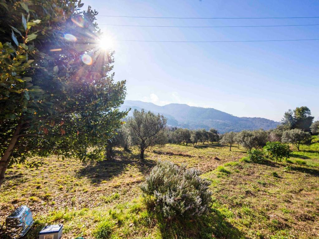 Villa a Framura in Località Castagnola - Foto 3