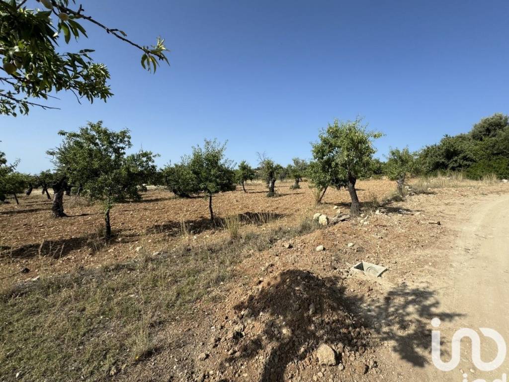 Terreno a Avola in Frazione contrada Bochini (strada provinciale 15) - Foto 4