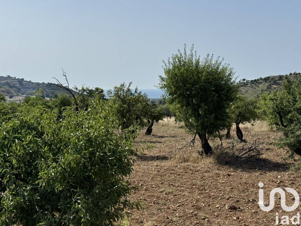 Terreno a Avola in Frazione contrada Bochini (strada provinciale 15) - Foto 5