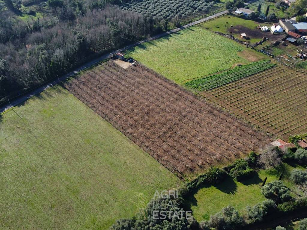 Terreno a Cisterna di latina in Via Ninfina - Foto 3