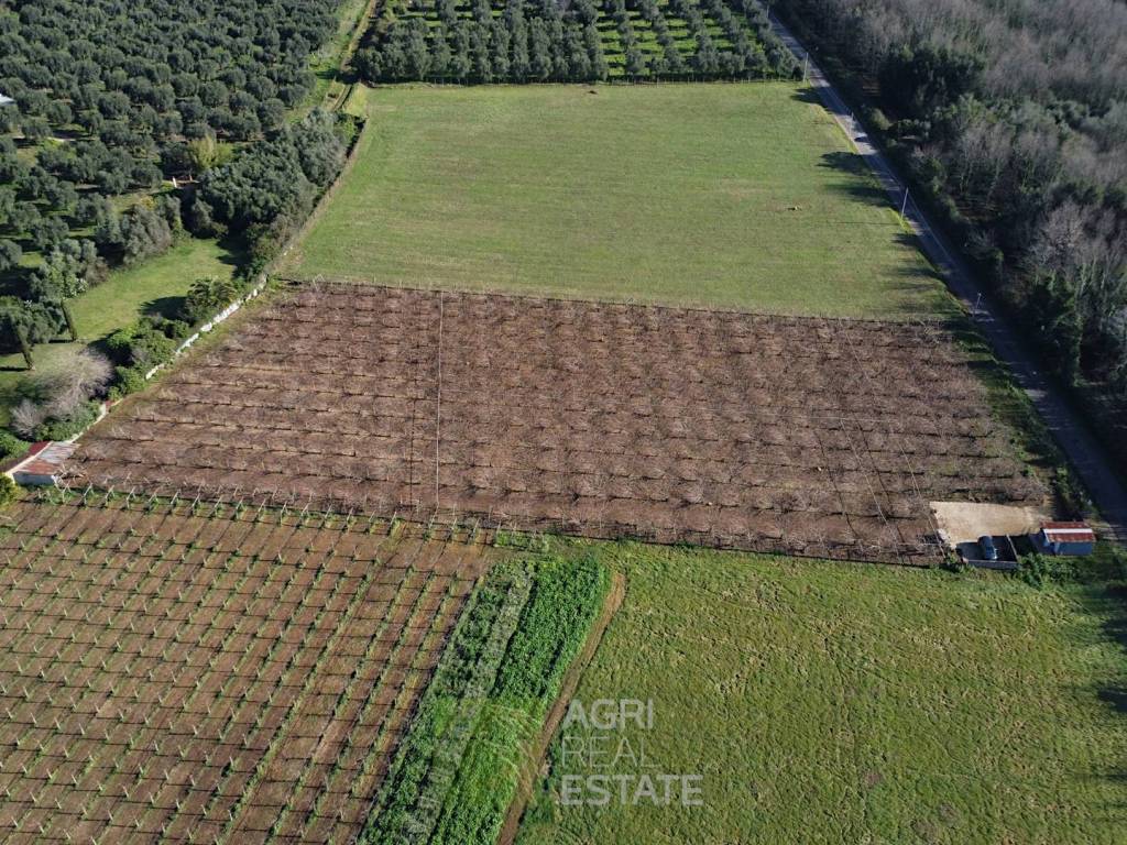 Terreno a Cisterna di latina in Via Ninfina - Foto 4