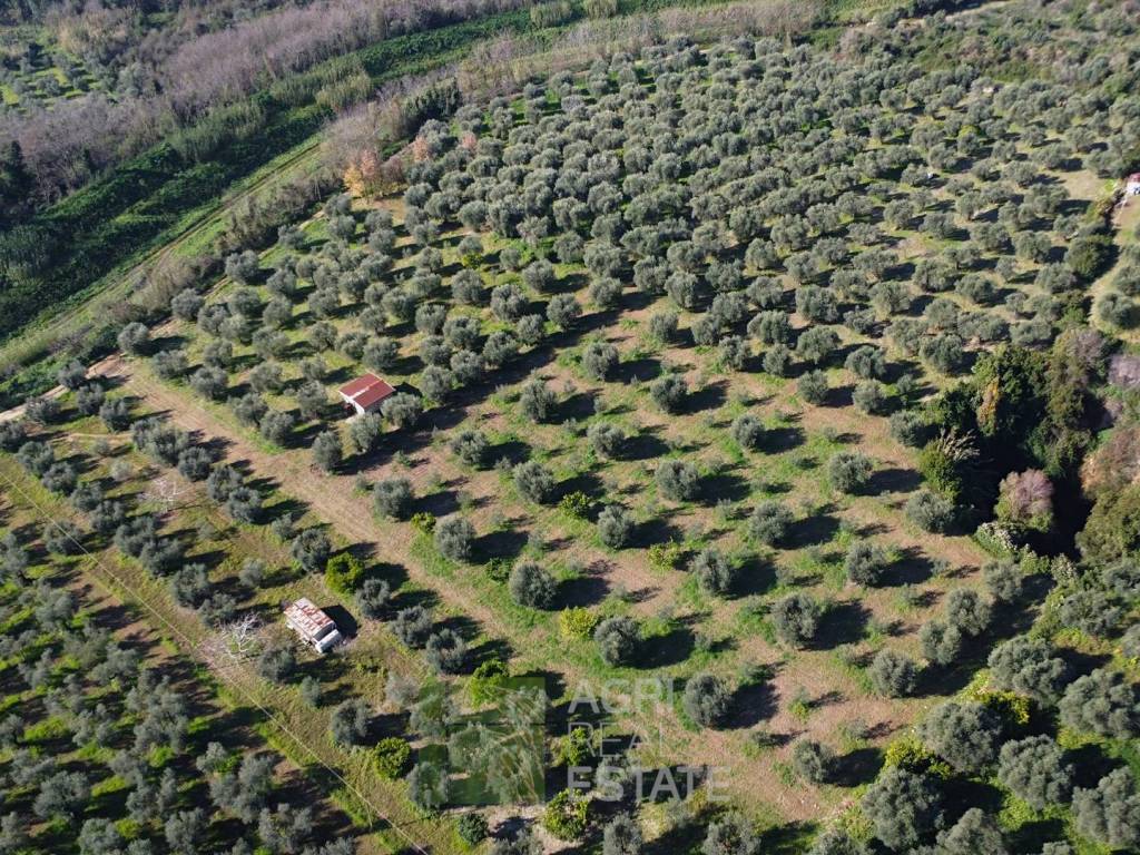 Terreno a Norma in Strada Provinciale Ninfina I - Foto 2