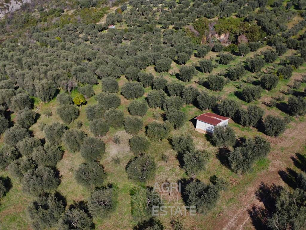 Terreno a Norma in Strada Provinciale Ninfina I - Foto 4
