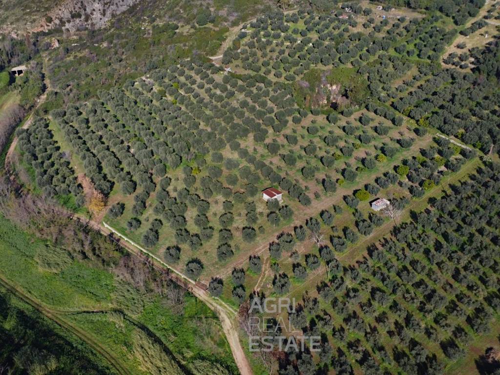 Terreno a Norma in Strada Provinciale Ninfina I - Foto 5