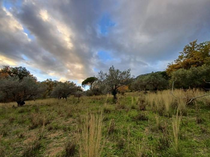 Terreno a Giungano in Via Difesa - Foto 4