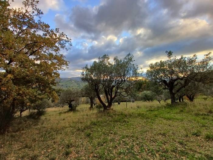 Terreno a Giungano in Via Difesa - Foto 5