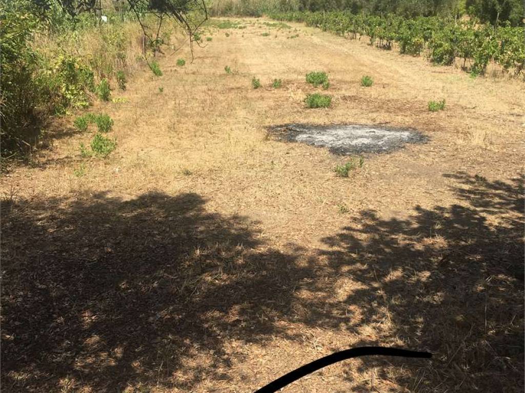Terreno a Mondragone in Località Incaldana - Foto 3