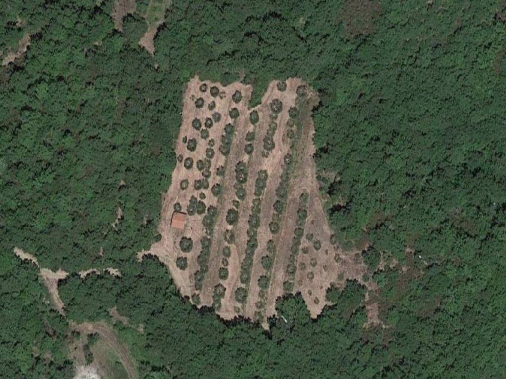 Terreno a Città di castello in Località Capeggiano - Foto 4
