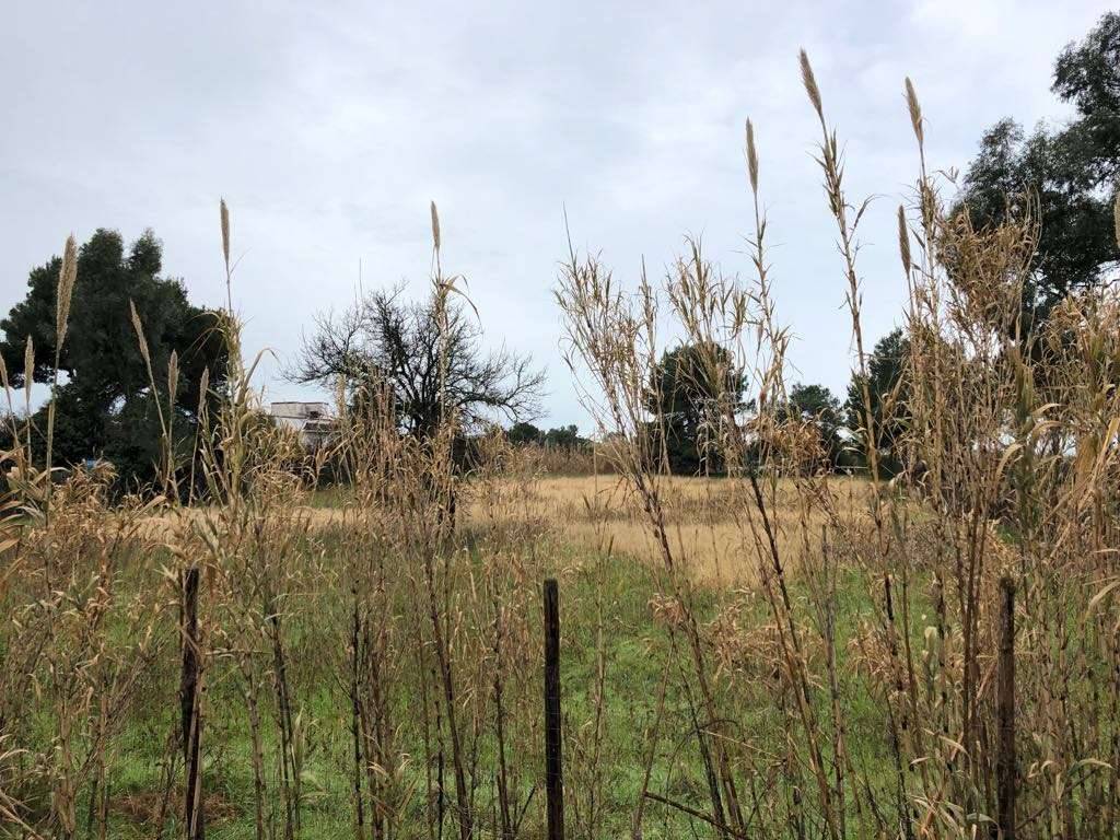 Terreno a Mondragone in Via Domiziana - Foto 2