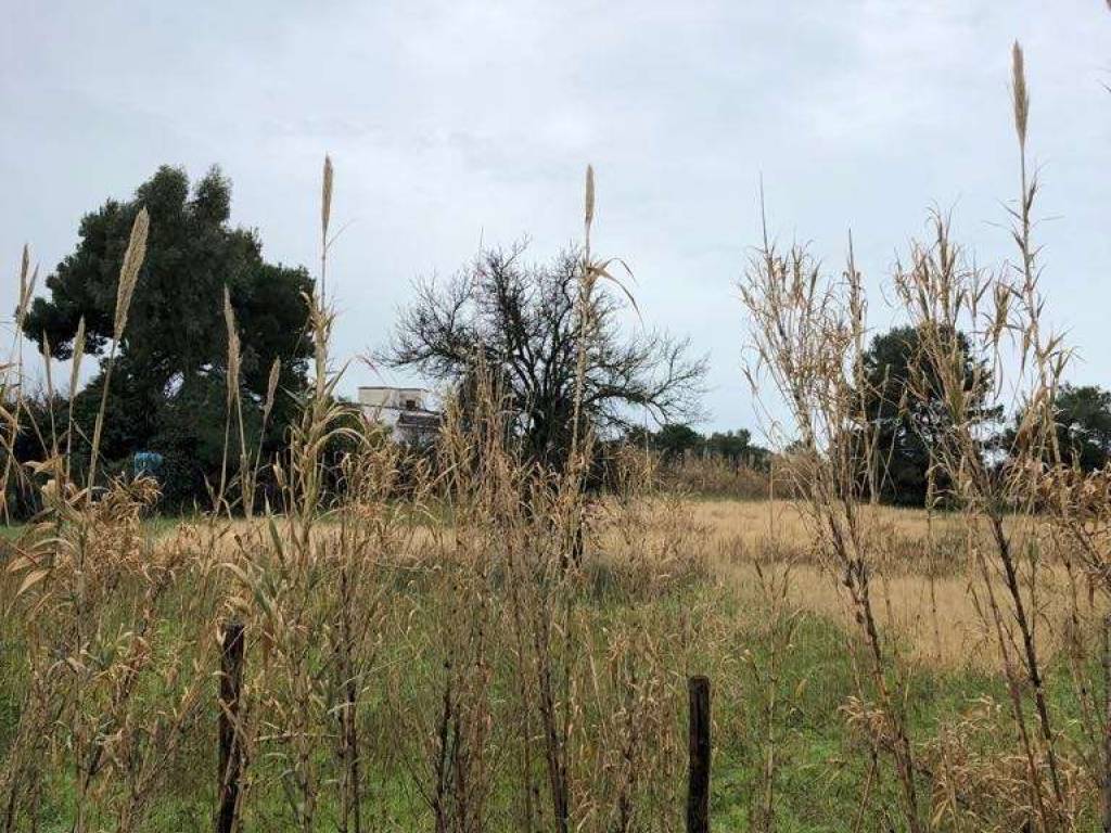 Terreno a Mondragone in Via Domiziana - Foto 3