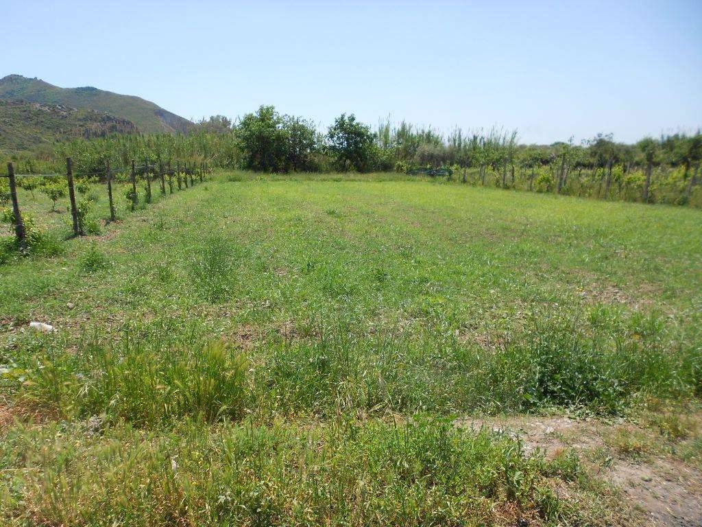 Terreno a Mondragone in Via Incaldana - Foto 3