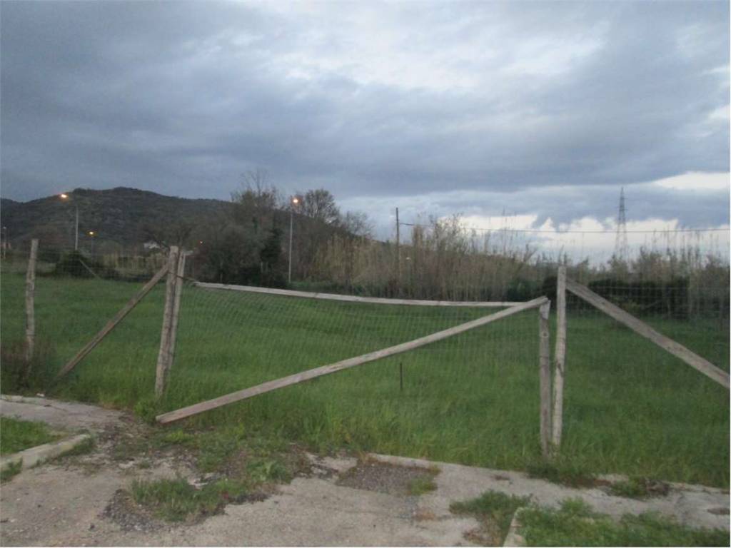 Terreno a Falciano del massico - Foto 2