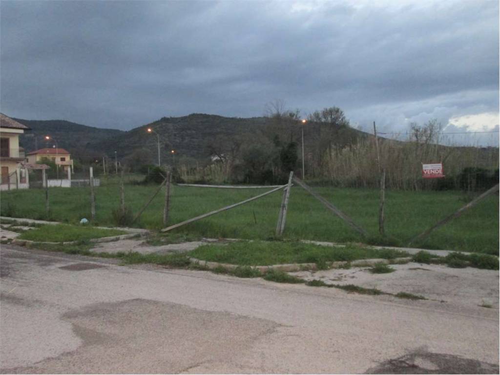Terreno a Falciano del massico - Foto 3