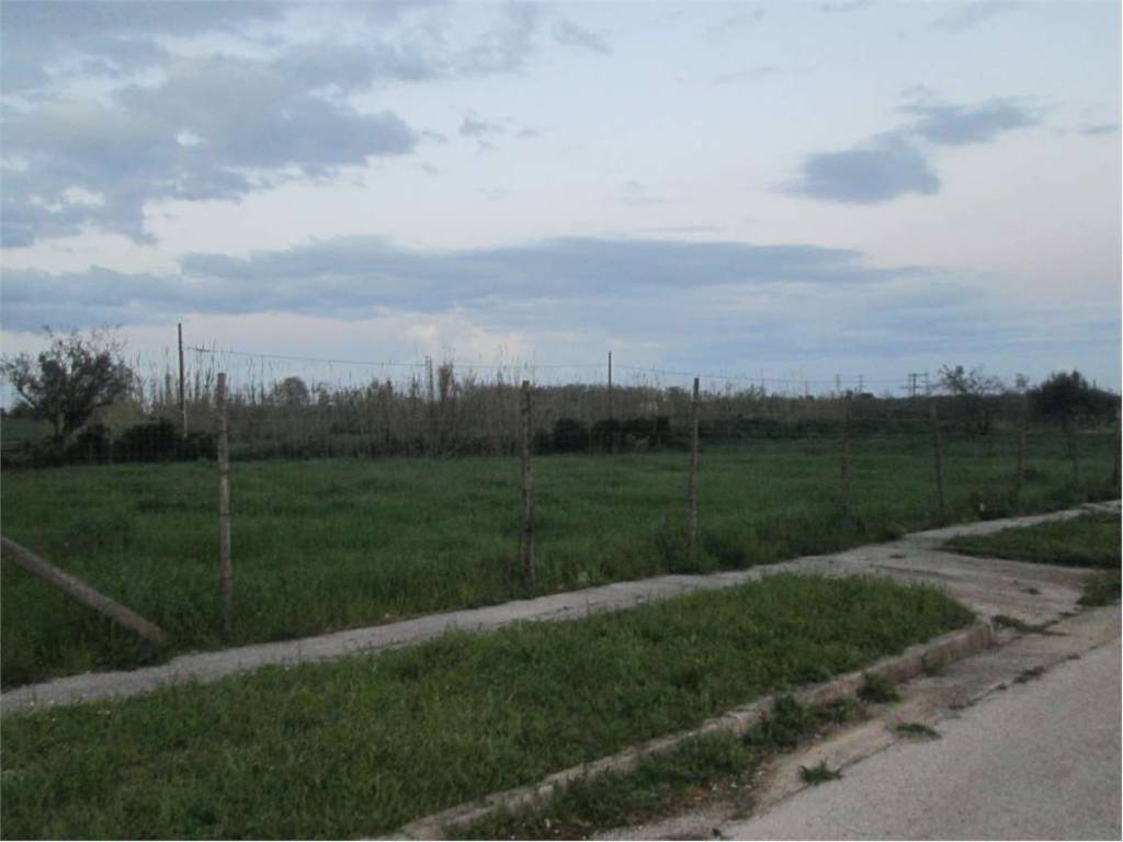 Terreno a Falciano del massico - Foto 4