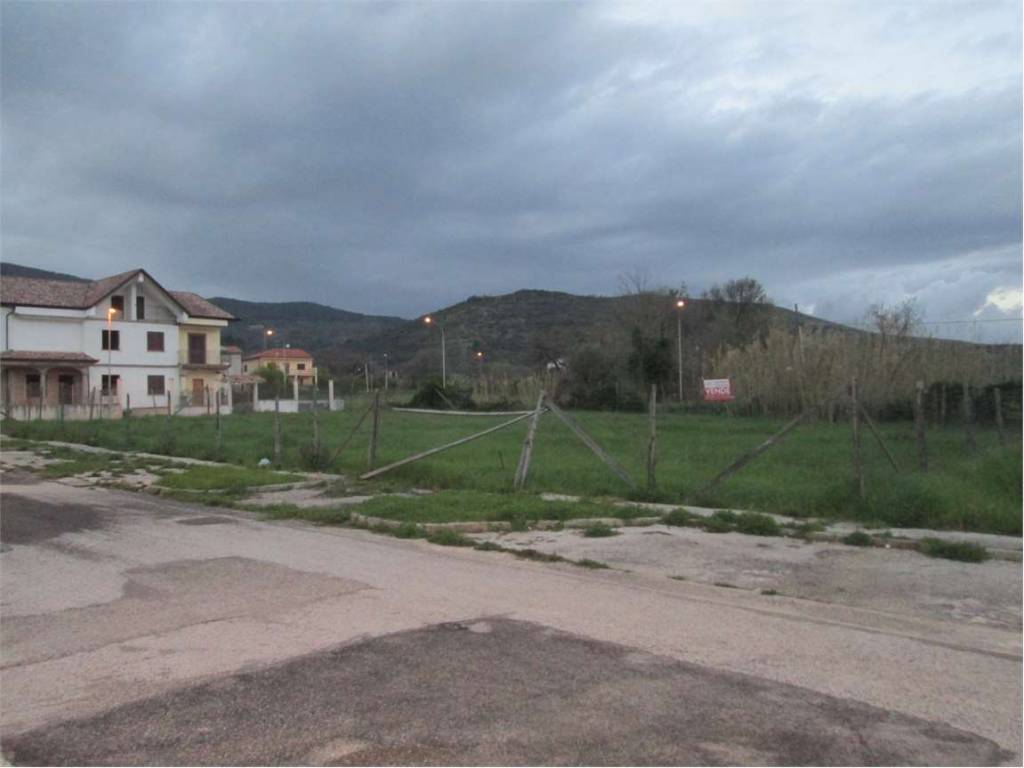Terreno a Falciano del massico - Foto 5