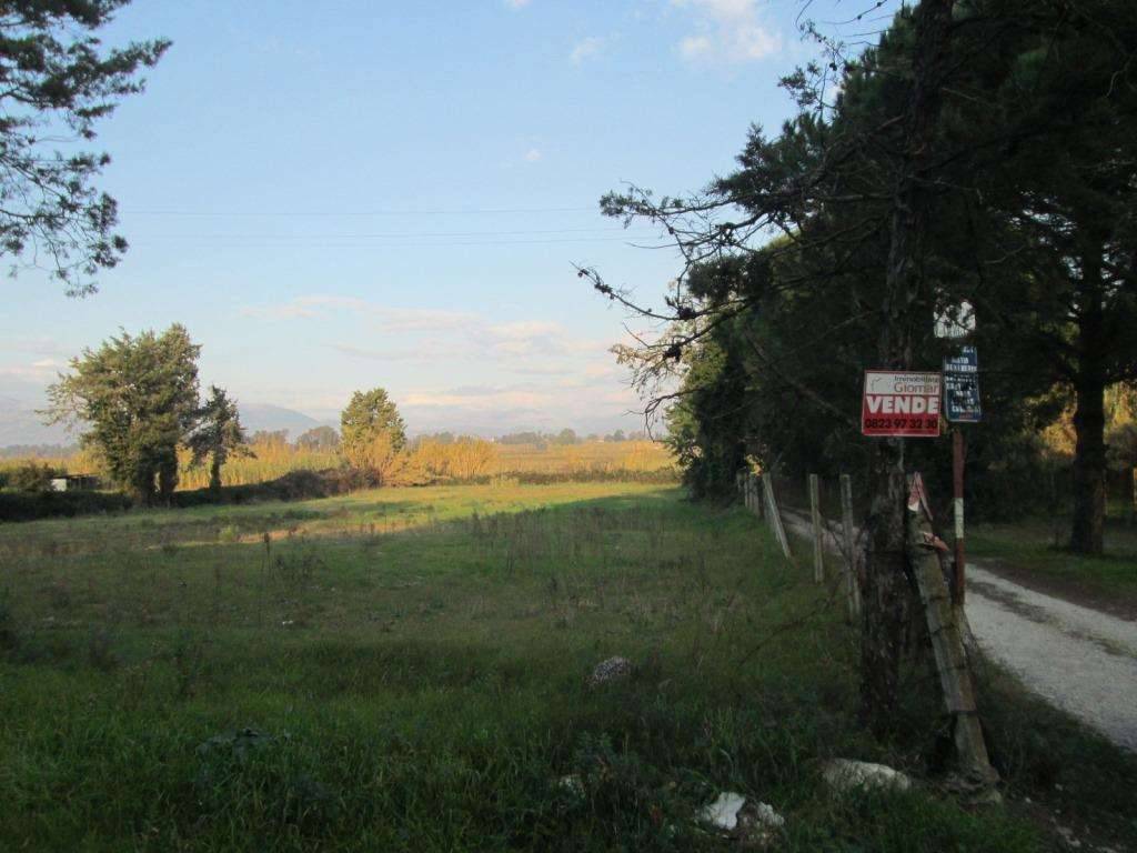 Terreno a Cellole in Località Baia Domizia - Foto 2