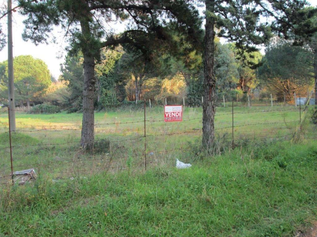 Terreno a Cellole in Località Baia Domizia - Foto 3