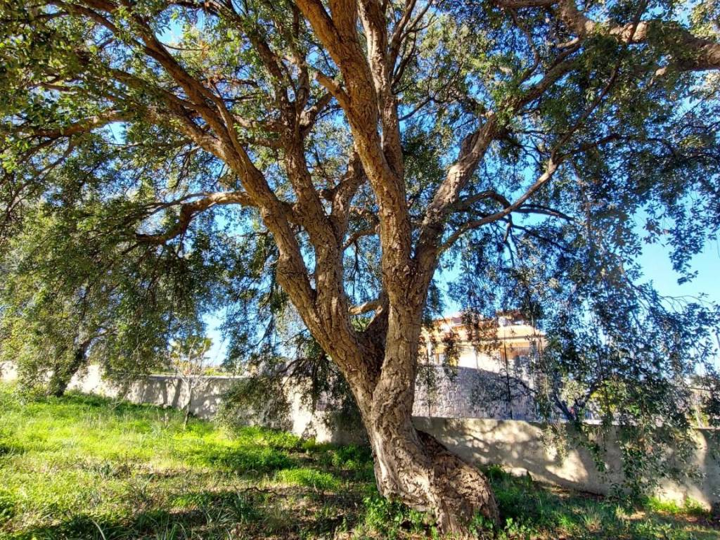 Villa a Melilli in Via Grappa Traversa 2 - Foto 4