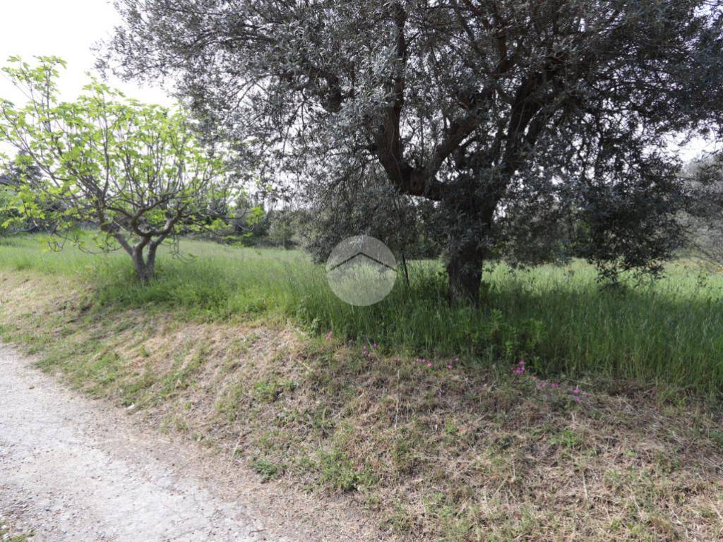 Terreno a Tortoreto in Via Panoramica, 1 - Foto 4