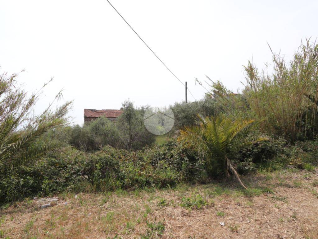 Terreno a Tortoreto in Via enzo ferrari - Foto 4